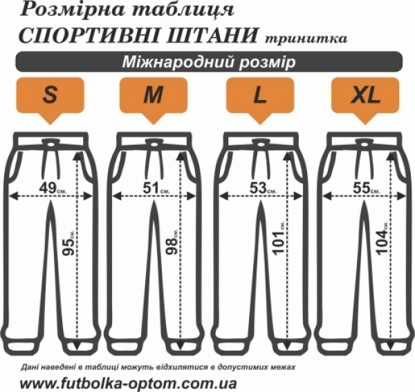 Штани чоловічі тринитка преміум на манжеті цемент